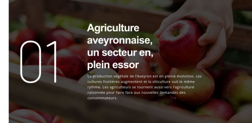 https://www.aveyron-agricole.fr